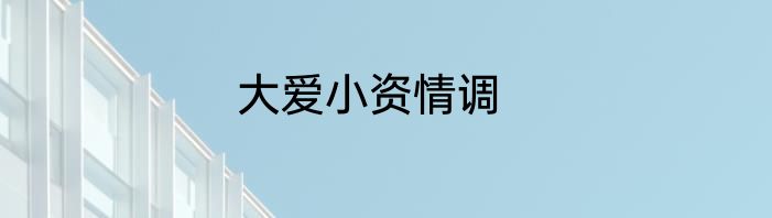 大爱小资情调