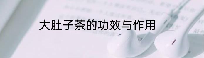 大肚子茶的功效与作用