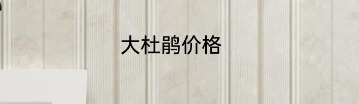 大杜鹃价格