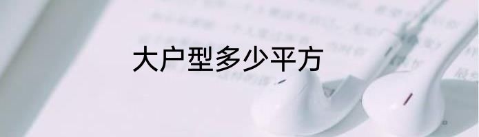 大户型多少平方
