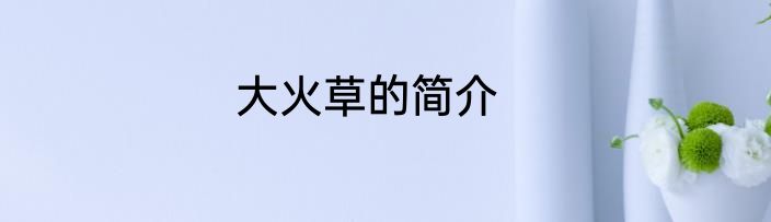 大火草的简介