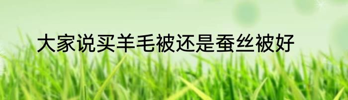 大家说买羊毛被还是蚕丝被好