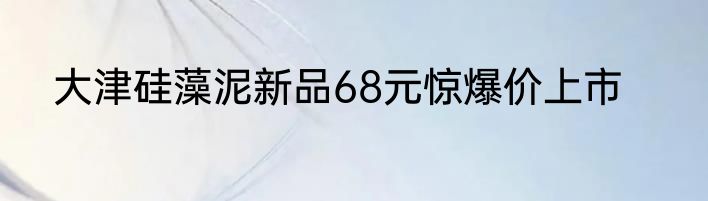 大津硅藻泥新品68元惊爆价上市