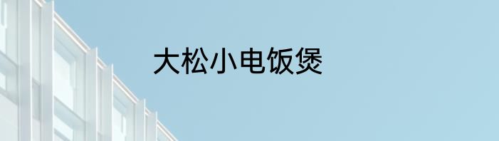 大松小电饭煲