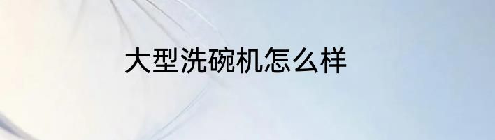 大型洗碗机怎么样