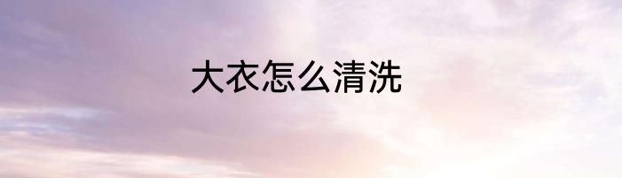 大衣怎么清洗