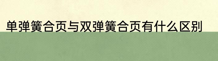 单弹簧合页与双弹簧合页有什么区别