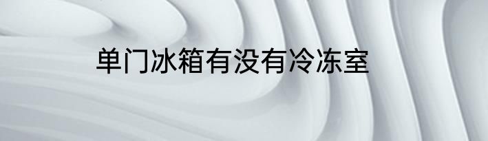 单门冰箱有没有冷冻室