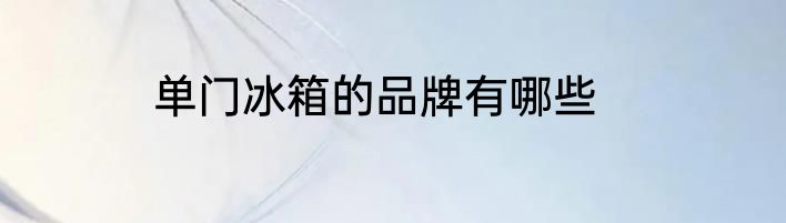 单门冰箱的品牌有哪些