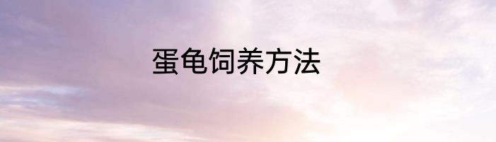 蛋龟饲养方法