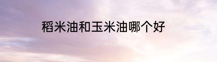 稻米油和玉米油哪个好