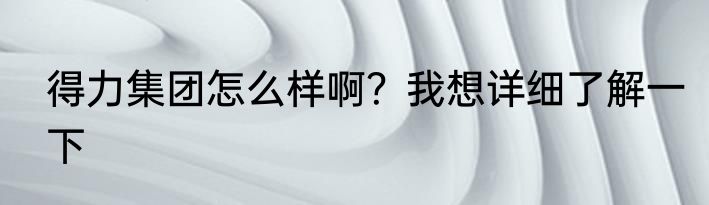 得力集团怎么样啊？我想详细了解一下