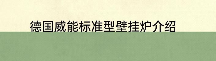 德国威能标准型壁挂炉介绍