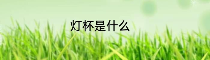 灯杯是什么