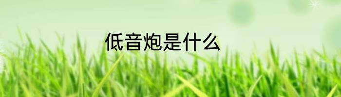 低音炮是什么