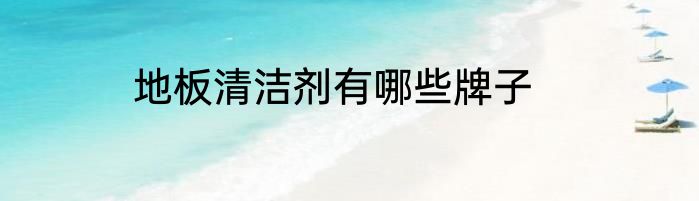 地板清洁剂有哪些牌子