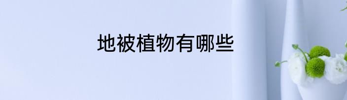 地被植物有哪些