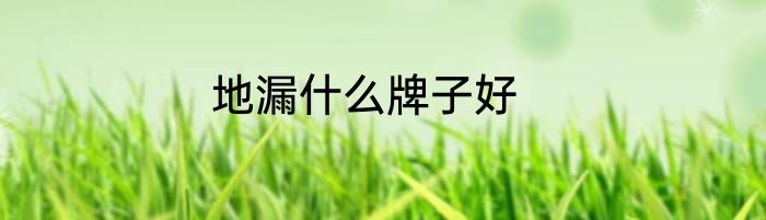 地漏什么牌子好
