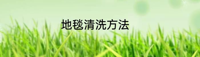 地毯清洗方法