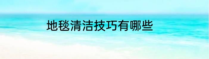 地毯清洁技巧有哪些