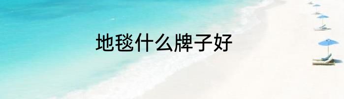地毯什么牌子好