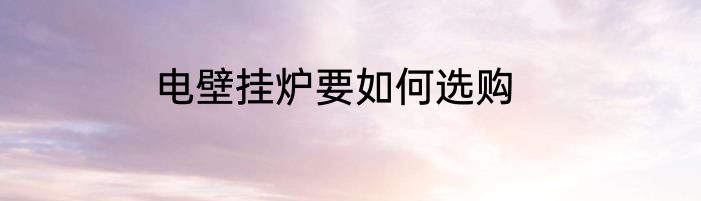 电壁挂炉要如何选购