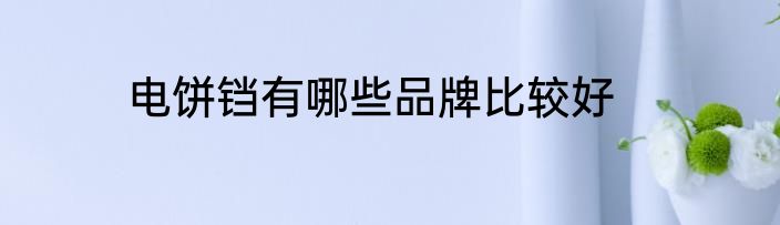 电饼铛有哪些品牌比较好