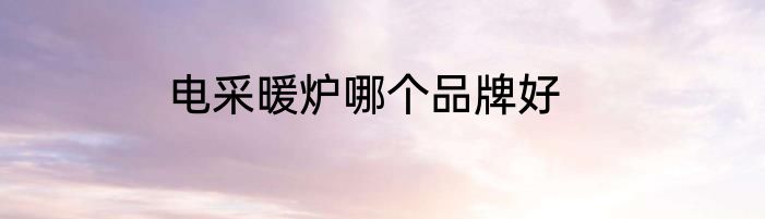 电采暖炉哪个品牌好