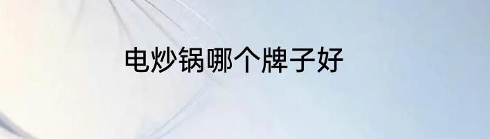 电炒锅哪个牌子好