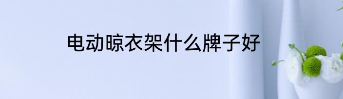 电动晾衣架什么牌子好