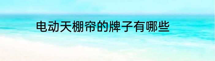电动天棚帘的牌子有哪些