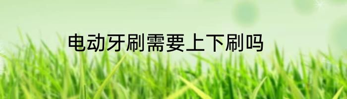 电动牙刷需要上下刷吗