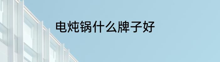 电炖锅什么牌子好
