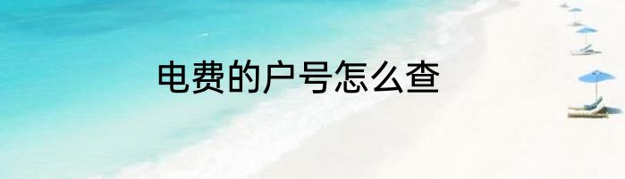 电费的户号怎么查