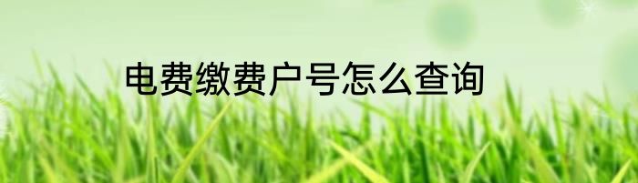 电费缴费户号怎么查询