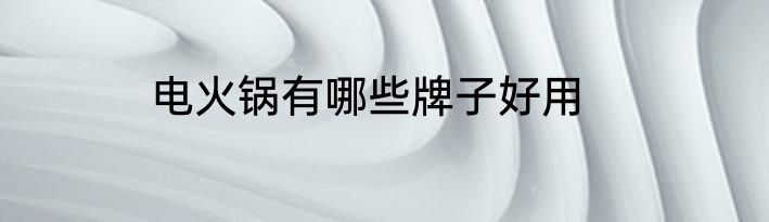 电火锅有哪些牌子好用