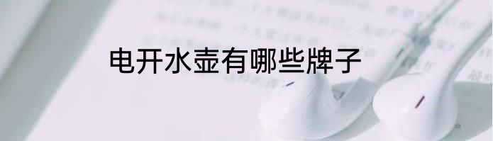 电开水壶有哪些牌子