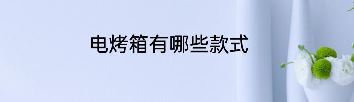 电烤箱有哪些款式