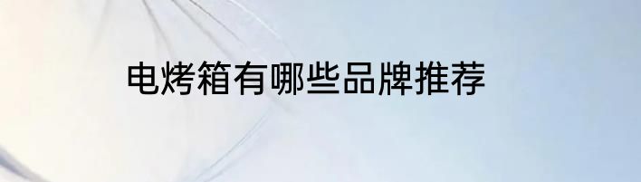 电烤箱有哪些品牌推荐