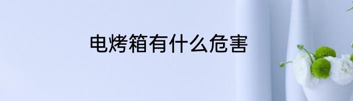 电烤箱有什么危害