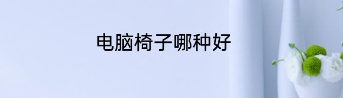 电脑椅子哪种好