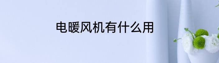 电暖风机有什么用