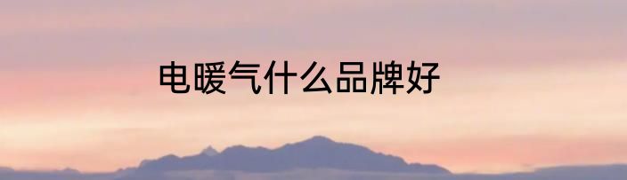 电暖气什么品牌好