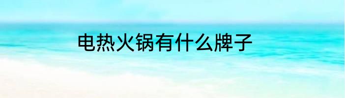 电热火锅有什么牌子