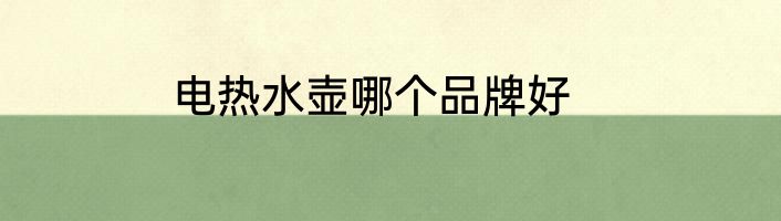 电热水壶哪个品牌好