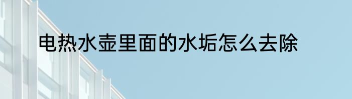 电热水壶里面的水垢怎么去除