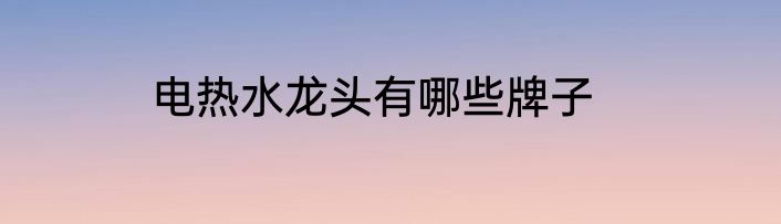 电热水龙头有哪些牌子