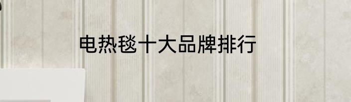 电热毯十大品牌排行