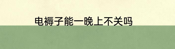 电褥子能一晚上不关吗