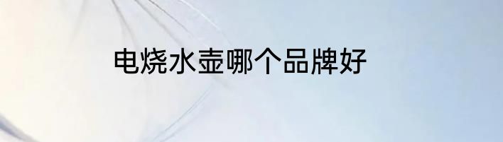电烧水壶哪个品牌好